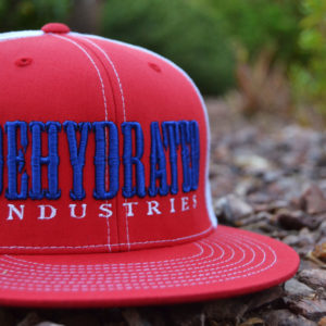 Red, White and Blue Snap Back