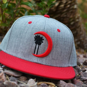 Grey, Red and Black Logo Snapback